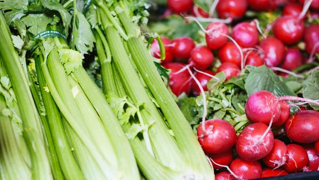 colorful salad with leafy greens and vegetables