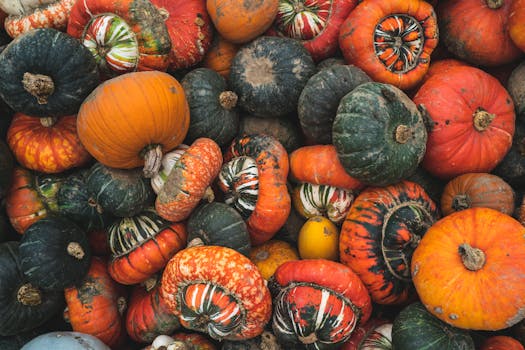 colorful array of vegetables for salads and sides