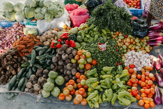 assorted nutrient-dense foods